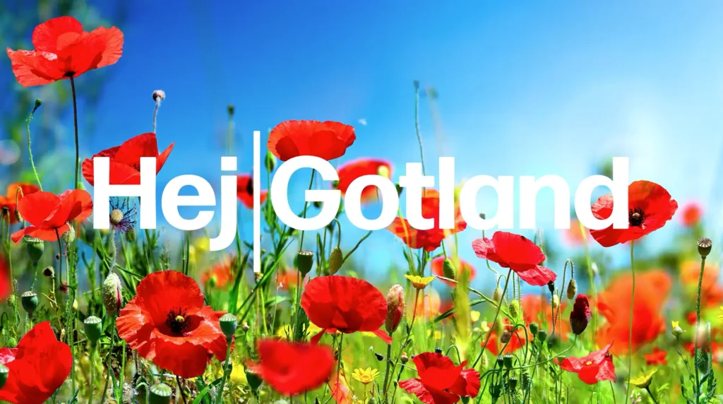 corona,pandemi,kreativitet,idéer,hemsida