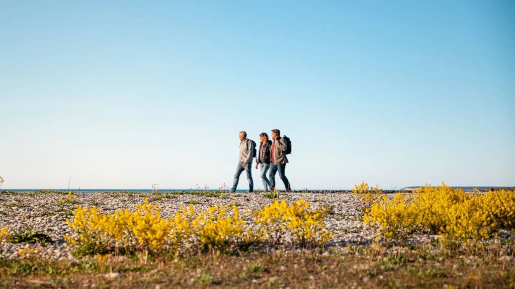 corona,pandemi,kreativitet,idéer,hemsida