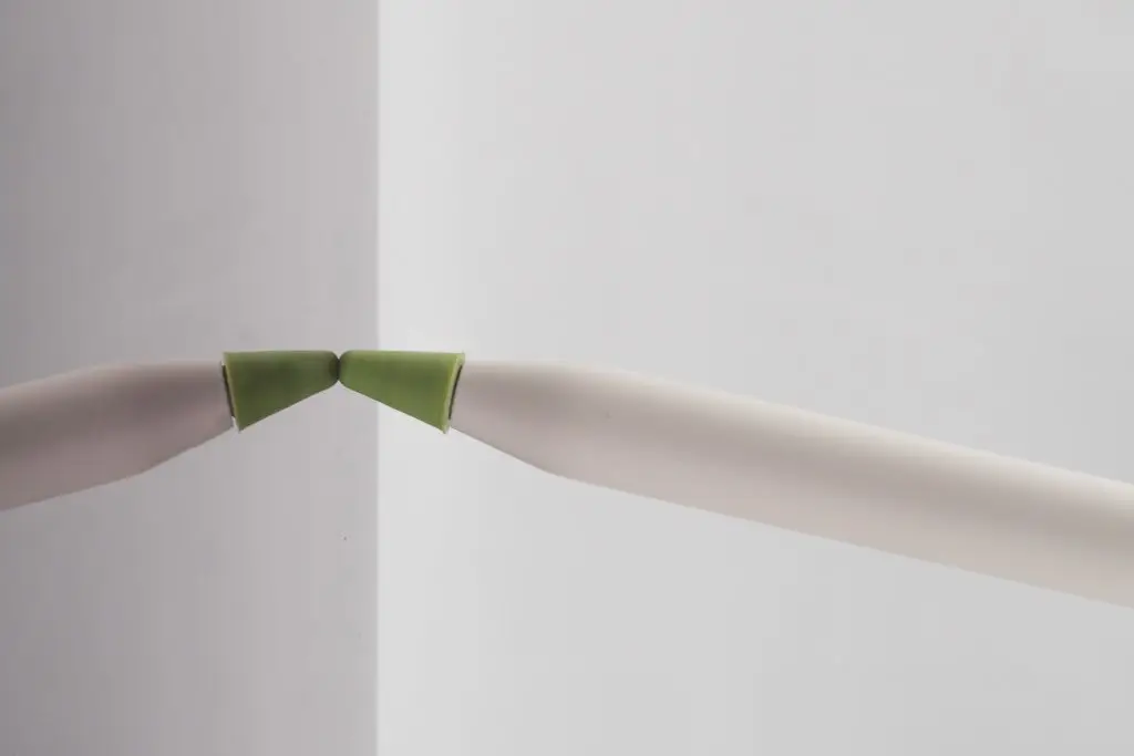 bought,tiny,pen,tip,whole,tree,nation