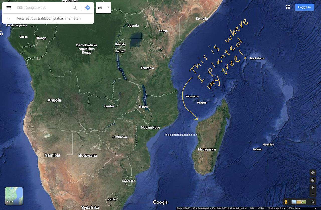 bought,tiny,pen,tip,whole,tree,nation