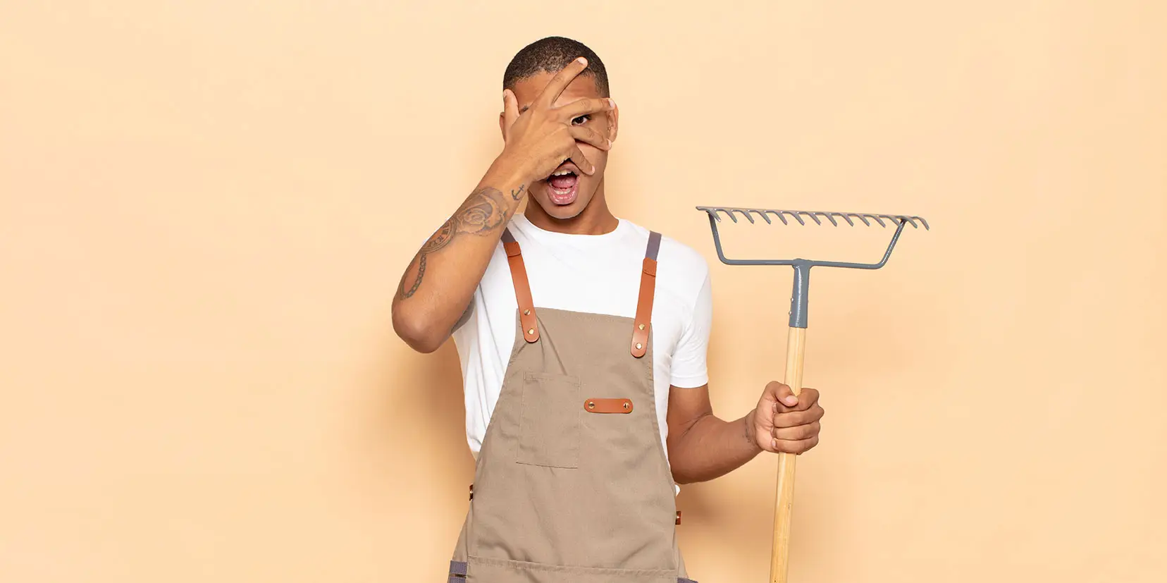 webbplats,information,strategi,röra,oordning,ordning,struktur,innehåll