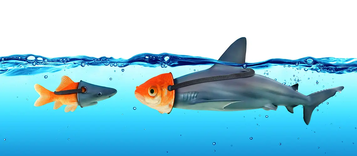 Fula fiskar på Facebook