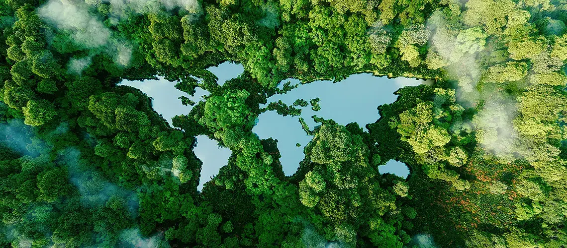 Sjöar i skogen som ser ut som jordens kontinenter